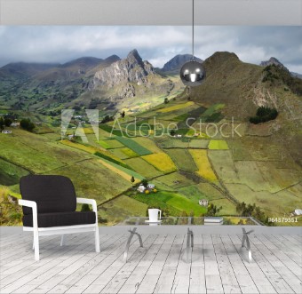 Picture of View of colorful terrace fields